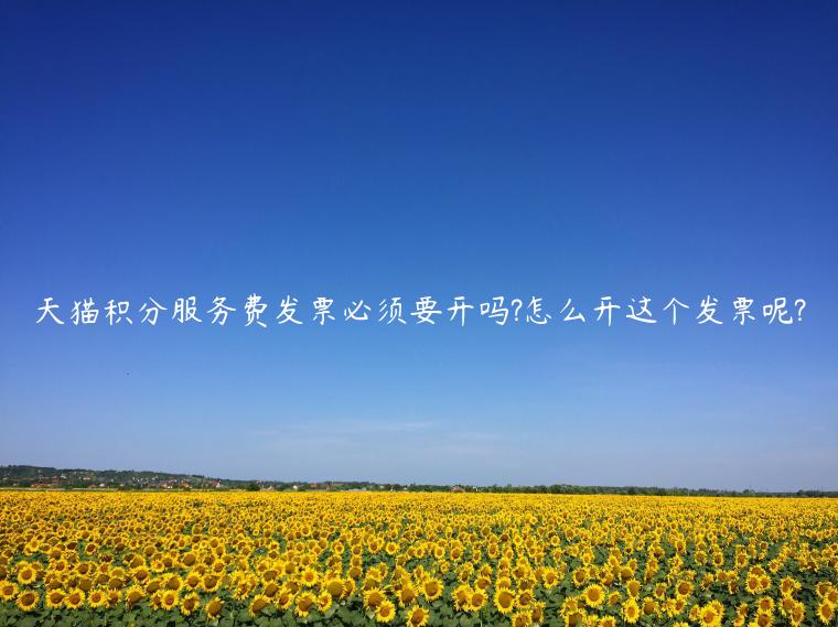 天貓積分服務(wù)費(fèi)發(fā)票必須要開(kāi)嗎?怎么開(kāi)這個(gè)發(fā)票呢?